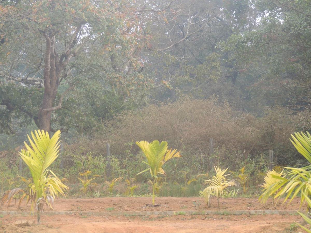 Dandeli Aura Apartment Luaran gambar